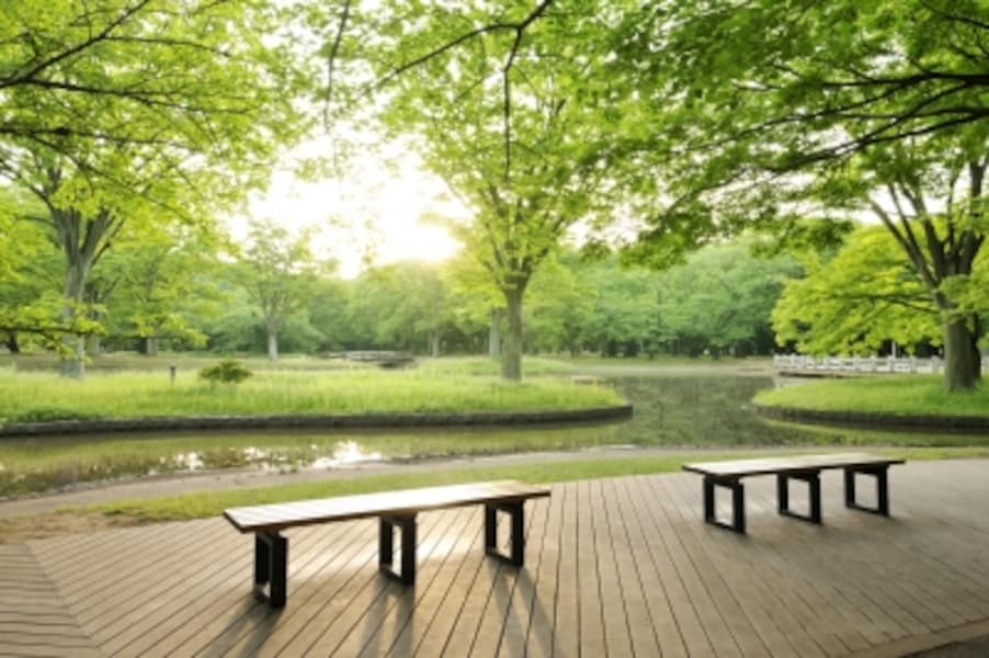 人の分で得をすると言うことは、人の分を奪っていることでもあるのです。人を利用して得をするのは運気が下がる行為です