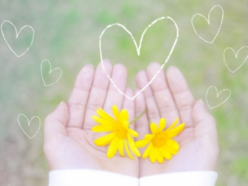 かわいい花を愛でる