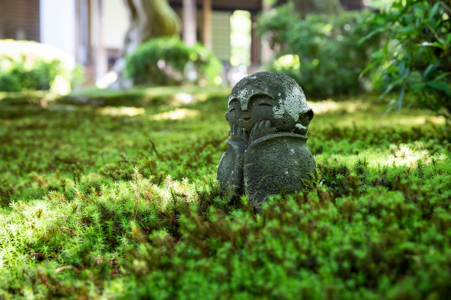 京都のお寺めぐり!青もみじや苔の美しいおすすめスポット