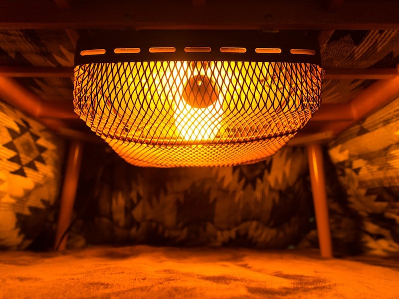 Q. 「こたつで眠ると死ぬ」って本当ですか？