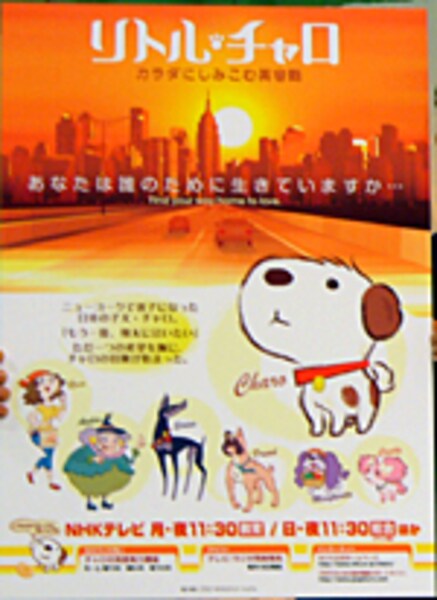 期間限定のお買い得商品 2/7 About All [英語] NHK2008年度英語テレビ講座 語学・辞書・学習参考書