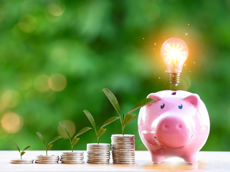 特別支給の老齢厚生年金は年間約30万円といわれましたが、通知では「支給停止」となっていました……