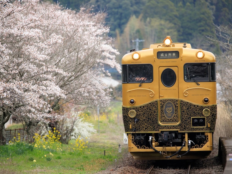 夫婦で1泊6万円「選んだ電車が大正解だった」年4回以上旅する69歳男性の湯布院温泉旅