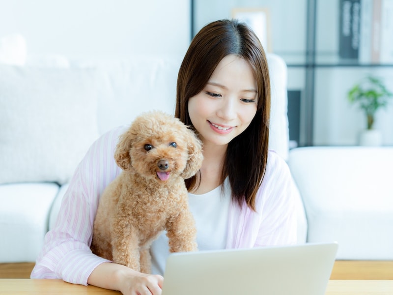 少額から始めやすい！ 初心者向けの7月の株主優待株・3選