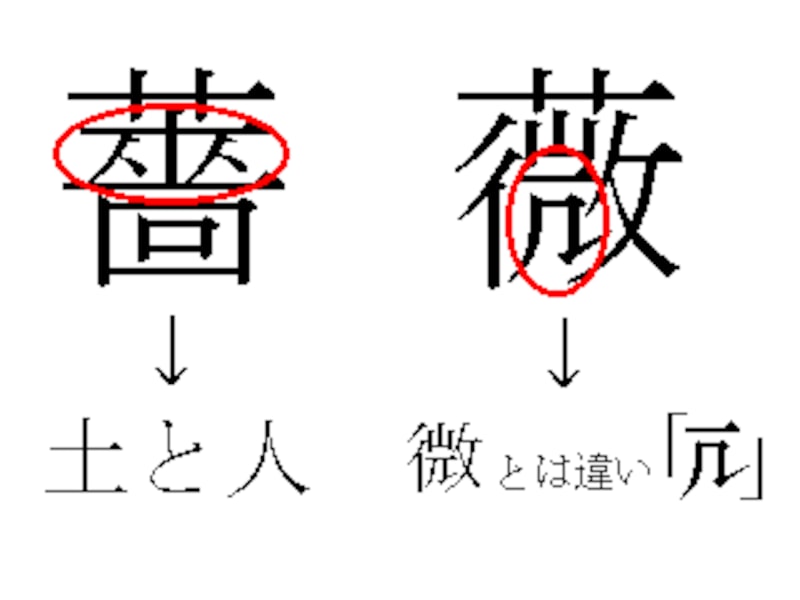 2/3 まる書いて覚える！つがわ式丸付け暗記法 [学習・勉強法