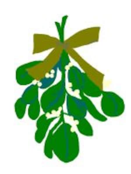 mistletoeの意味とは？ クリスマスに英語で女性を口説く方法