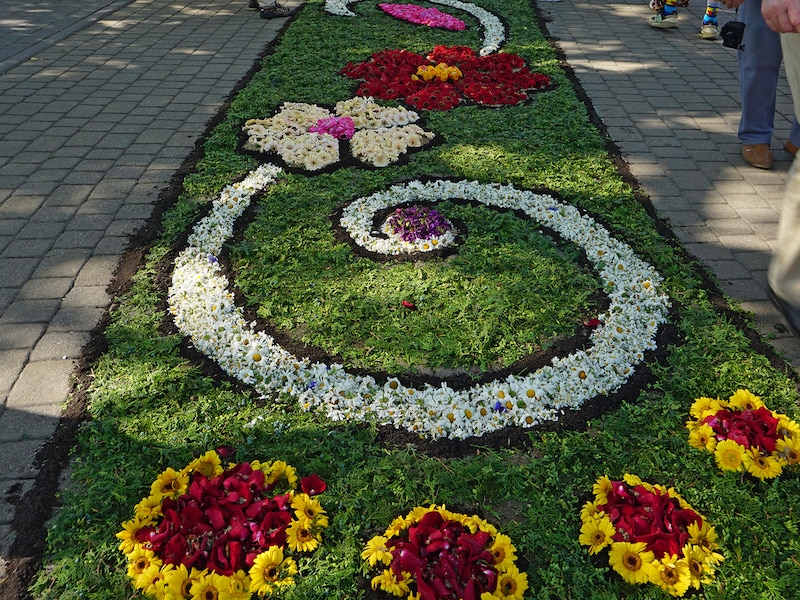 スピチミェシュの花の道