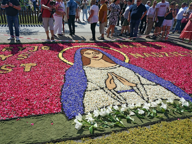 スピチミェシュの花の道