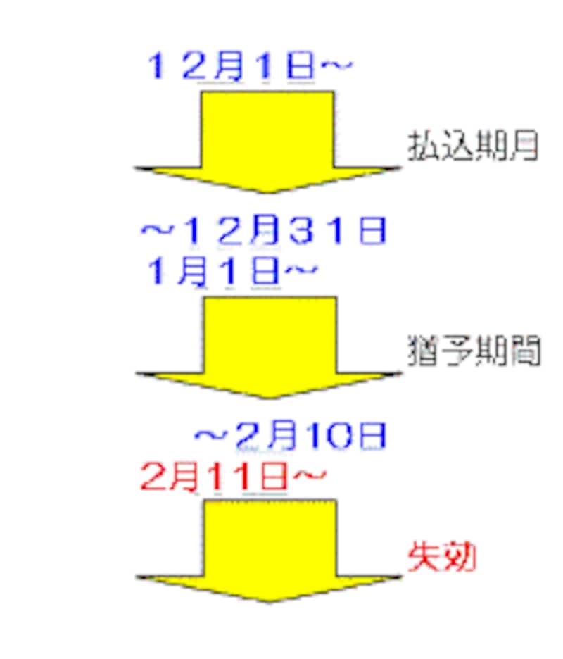 例:保険料の支払が年払いで契約応答日が12月10日の場合