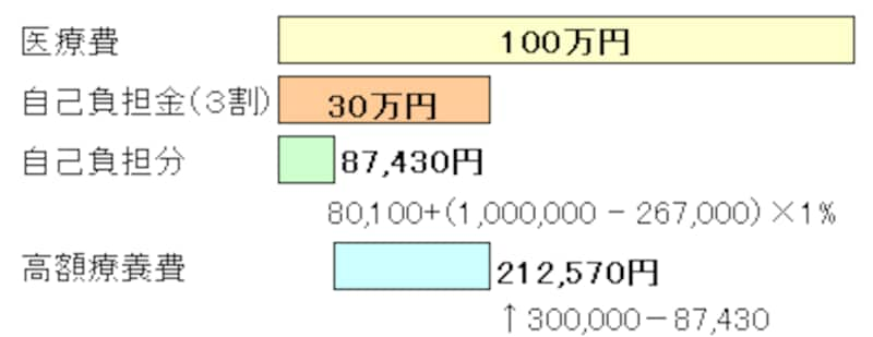 医療費・自己負担分・高額療養費