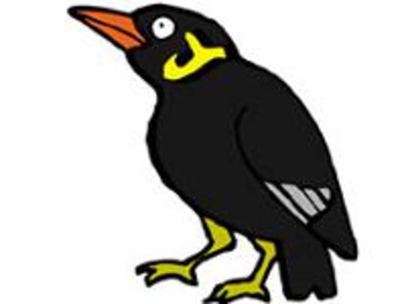 画像の代替テキスト