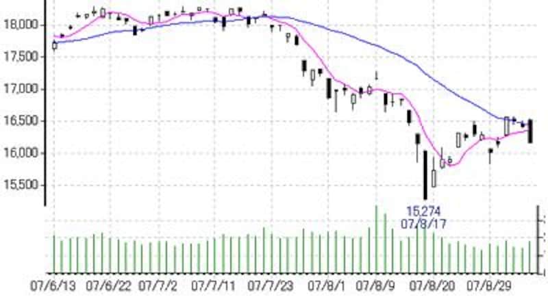 画像の代替テキスト