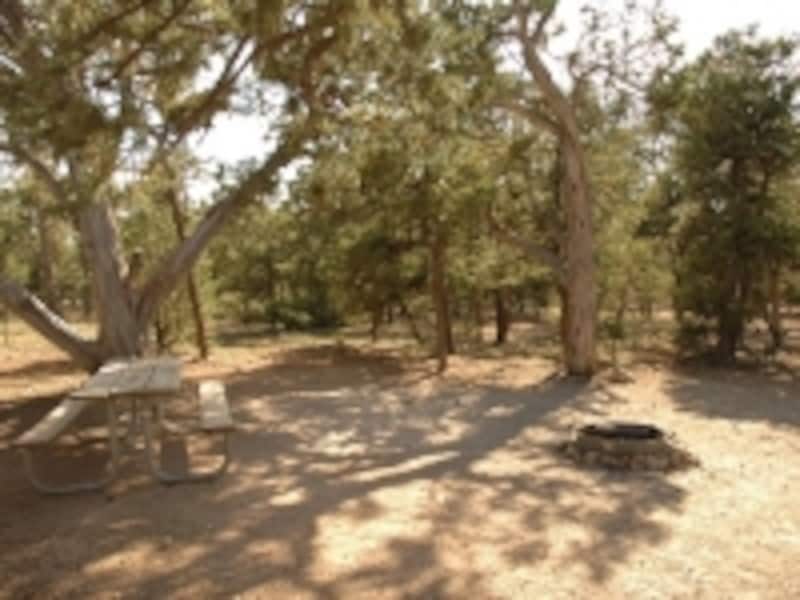 キャンプサイトにはテーブルとファイヤープレイスがある