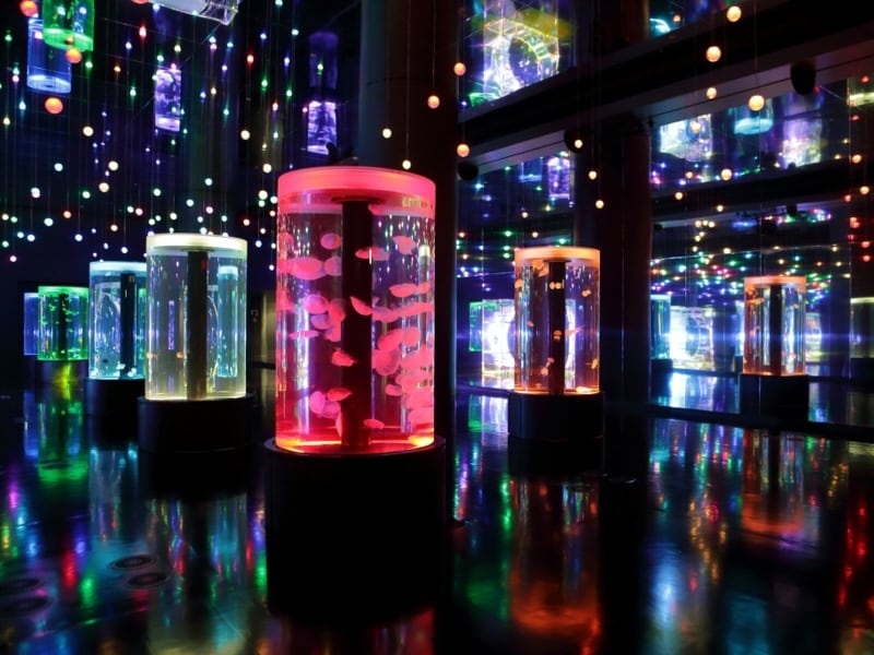 アクアパーク品川