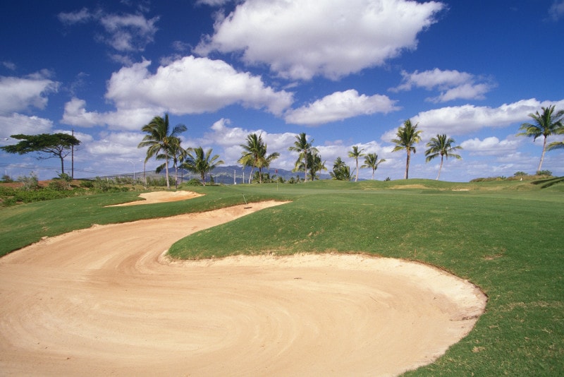 海外のゴルフ場を専門に手配する業者もある