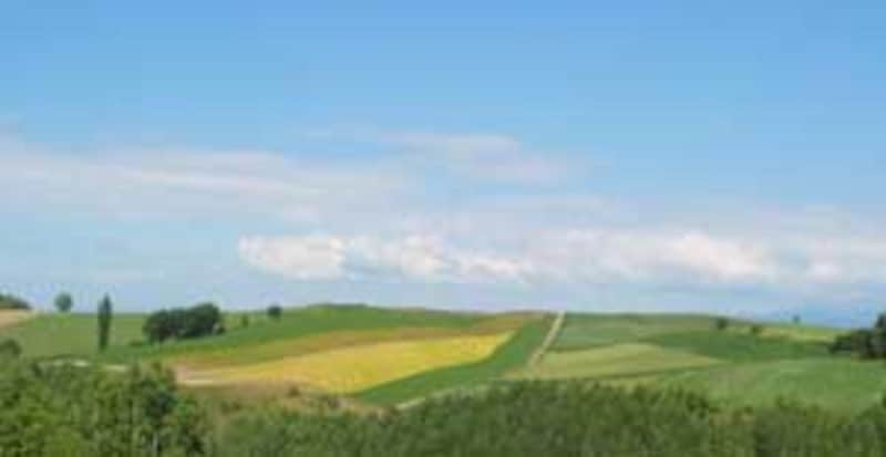 田園の丘陵風景はヨーロッパのよう