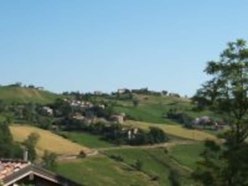 photo by SAWA pasqua