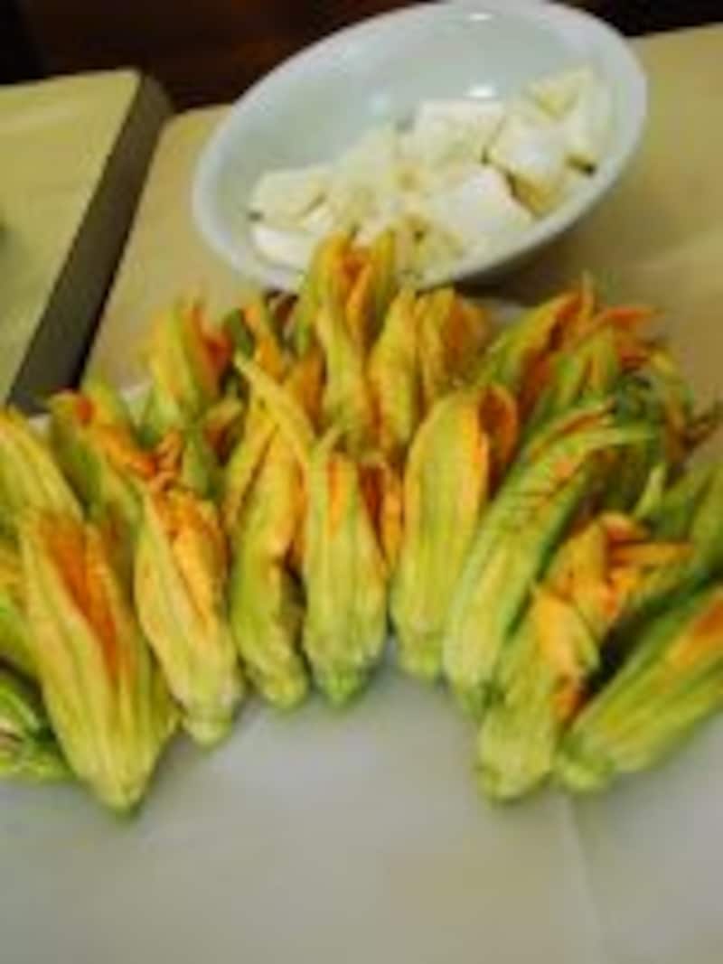 photo by SAWA pasqua