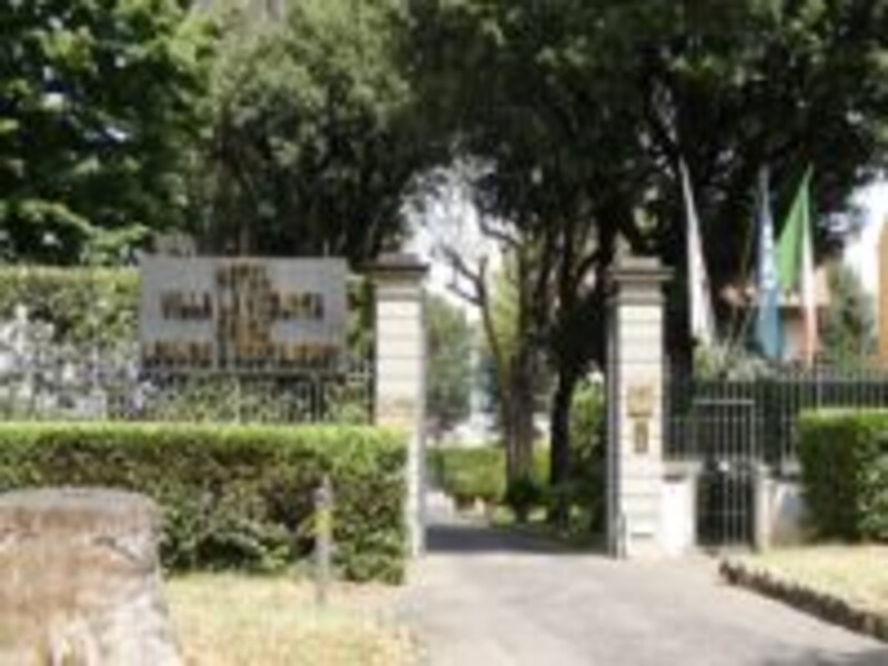 photo by SAWA pasqua