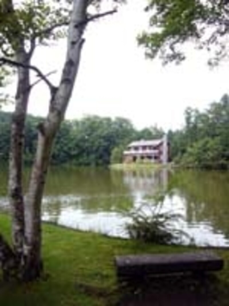 湖畔にはベンチも用意されていて、休み休み散策できます