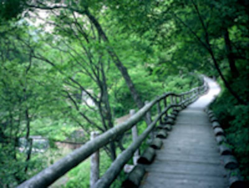 千ヶ滝せせらぎの道