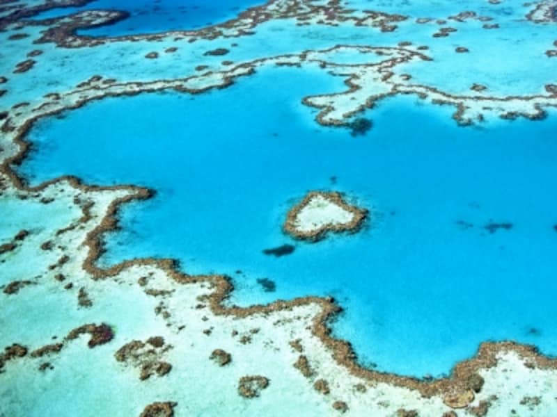 オーストラリアの世界遺産「グレートバリアリーフ」のハートリーフ