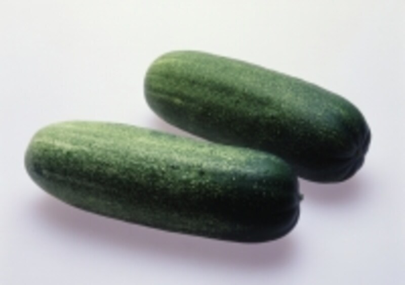 加賀太きゅうり