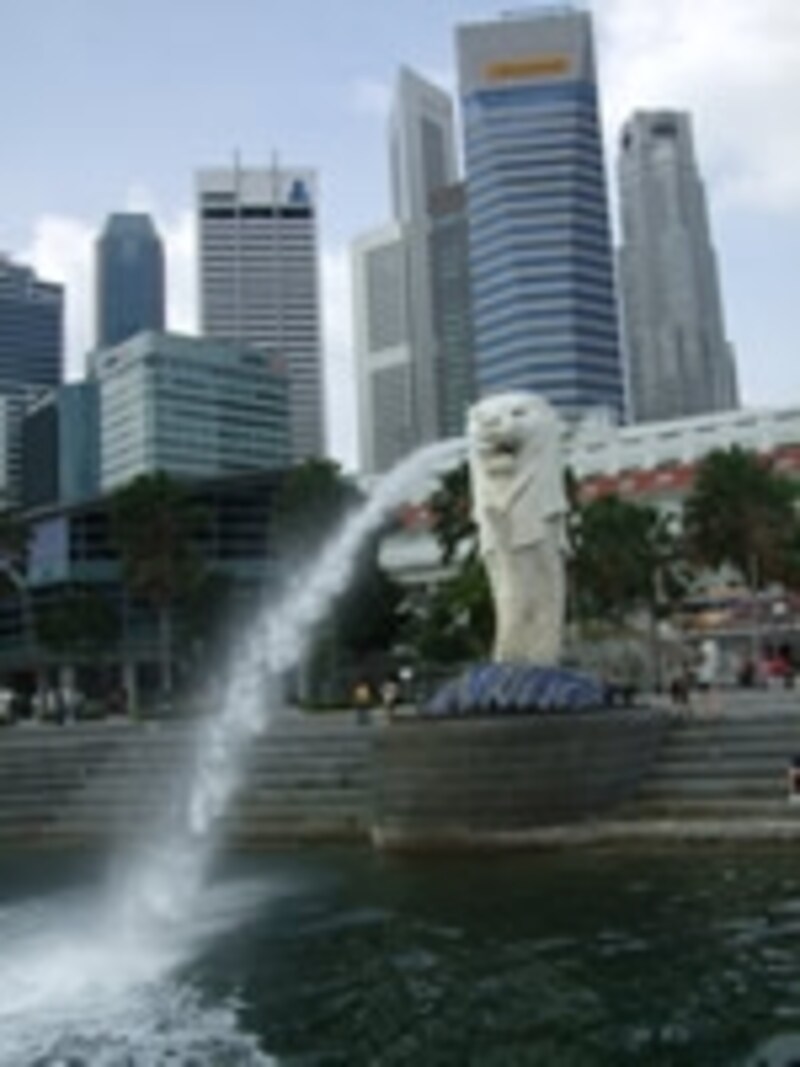 新スポットも続々登場