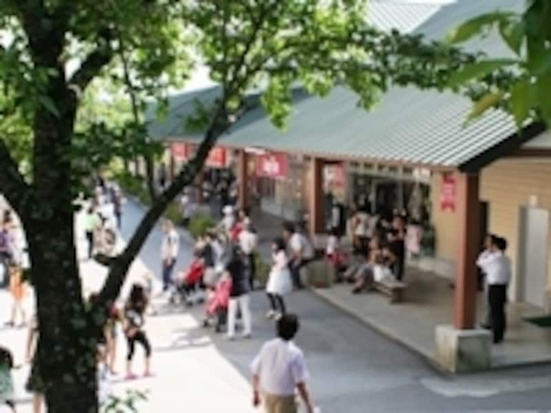 自然調和型の重要観光資源として地元からも期待が寄せられる