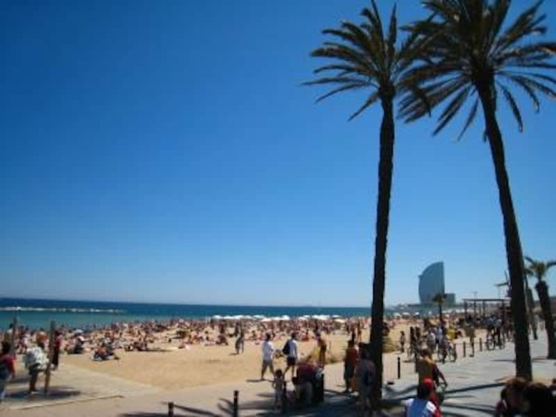 ビーチは夏の人気スポット