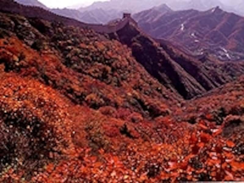 八達嶺長城の紅葉。一般的に中国のベストシーズンは秋