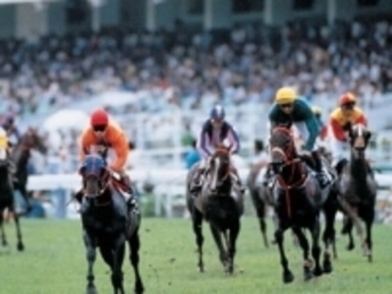 競馬場はタイパ島とコタイ地区のちょうど間くらいに建つundefined写真提供：マカオぴあ