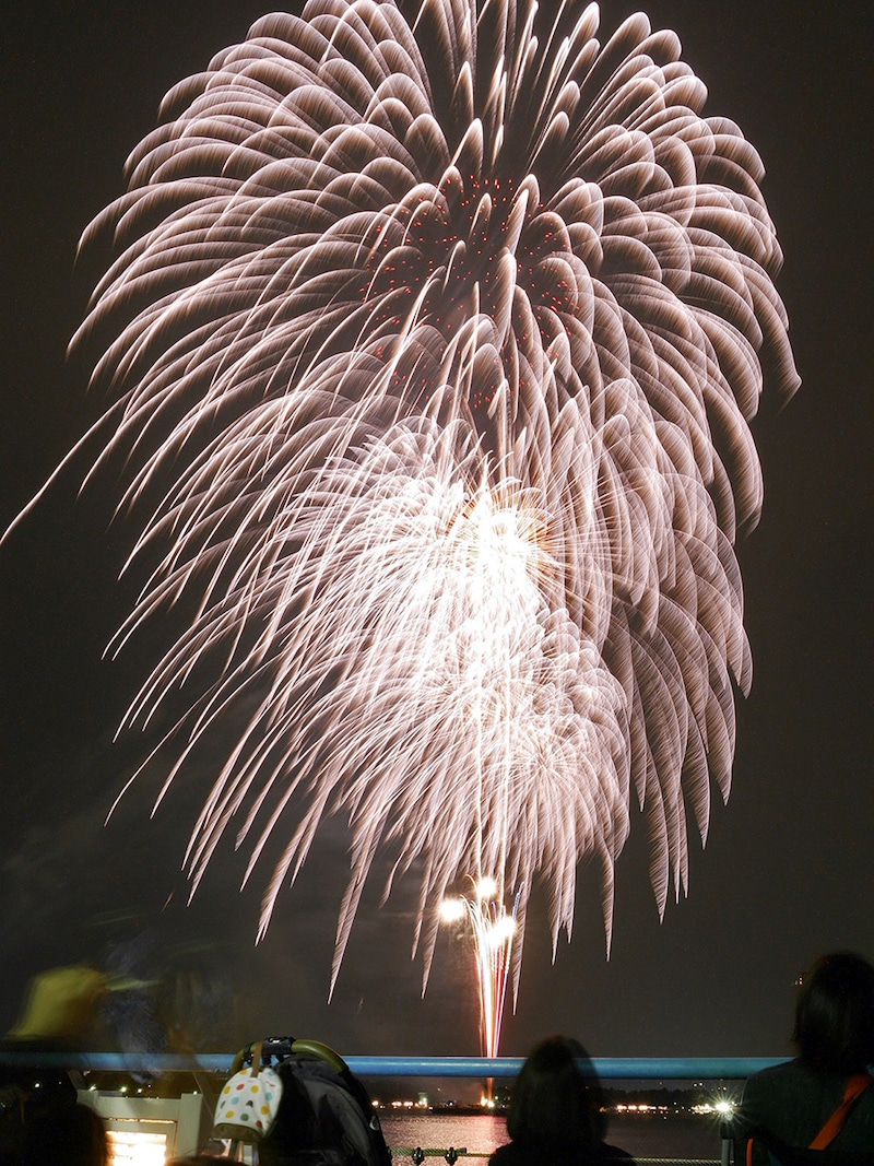 横浜・八景島シーパラダイス内から見た金沢まつり花火大会（2017年8月26日撮影）