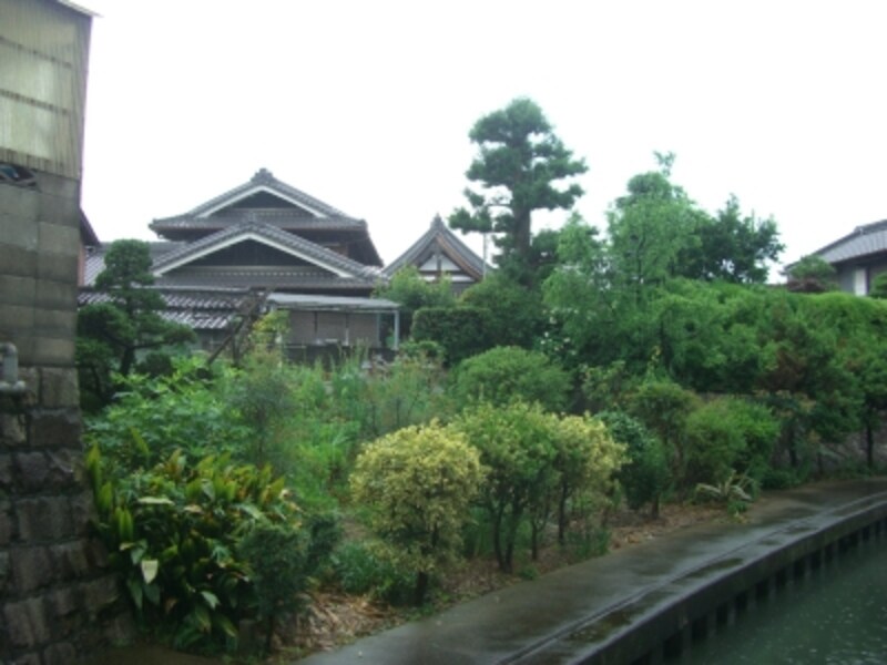 丁寧に手入れされた植木が目を引く木造住宅。幹線沿いだけ見ていては絶対に気づかない風景。