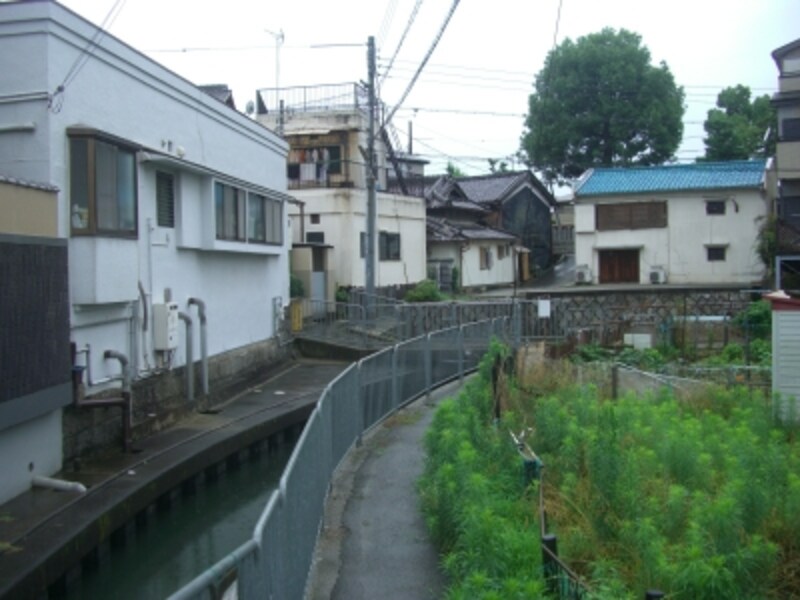 このエリアから北側は、大小何本もの水路が通る。