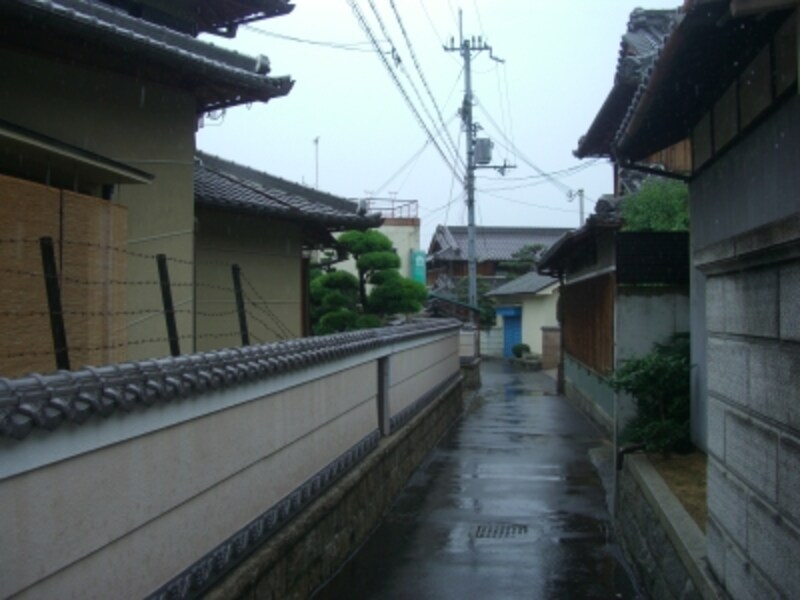 街路は狭いが一軒一軒の敷地が広い。