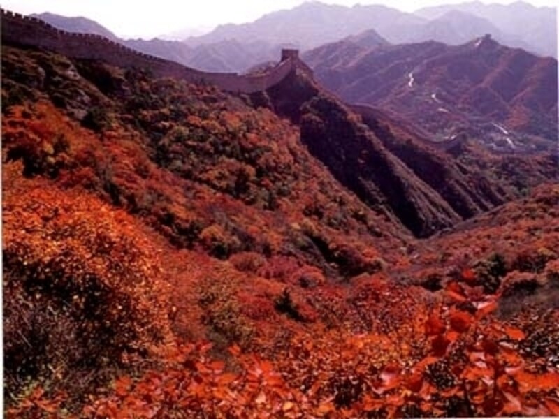 北京の秋。紅葉が美しい万里の長城「八達嶺」
