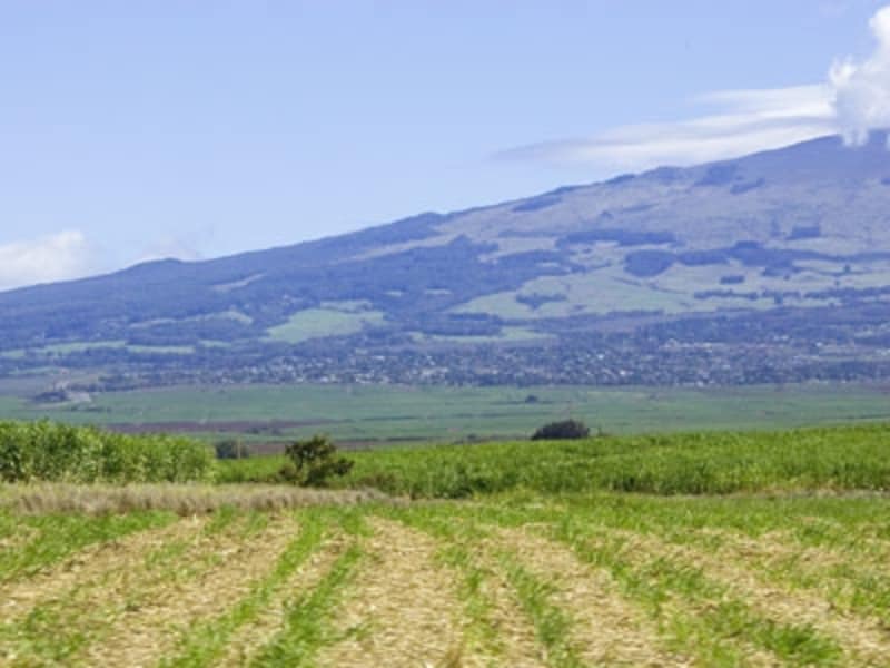 農地や牧場が広がるハレアカラの裾野（画像協力：ハワイ州観光局）