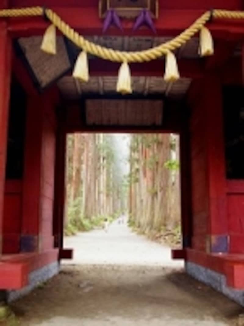 戸隠は、神々の世界への入り口です