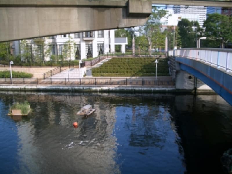 島へ向かう橋の上から。再開発後の水際、水鳥の巣。かつての、汚れた東京の運河の面影はどこにもない。