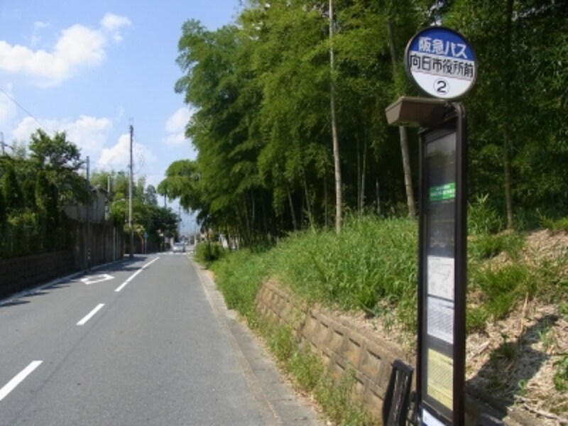 市役所の東側には竹林が残る。他にも竹林は点在。