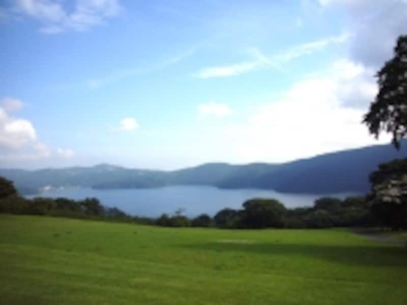 お弁当持参でピクニック気分を楽しみたい