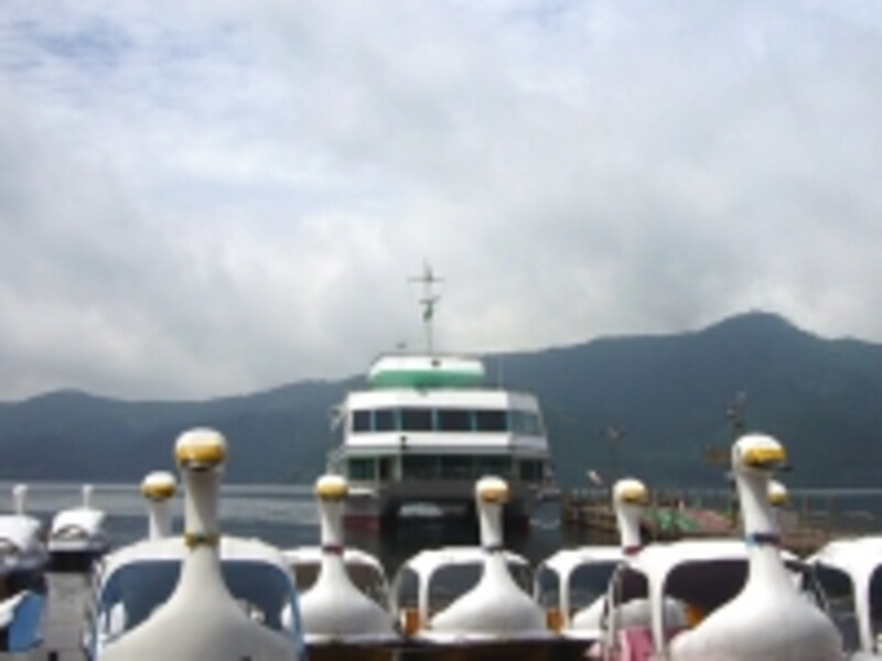 双胴船の手前にはスワン号がズラリ！