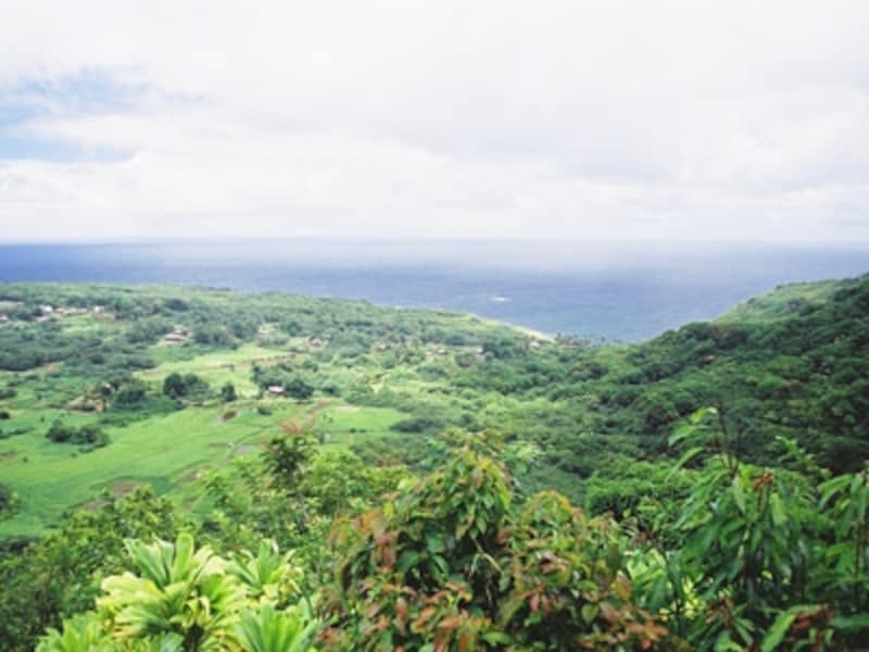 アクセスが困難だかこそ、ハワイ古来の手つかずの自然が残るハナの町