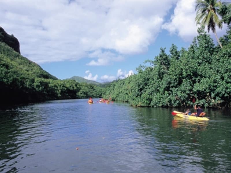ジャングルの中を蛇行するワイルア川