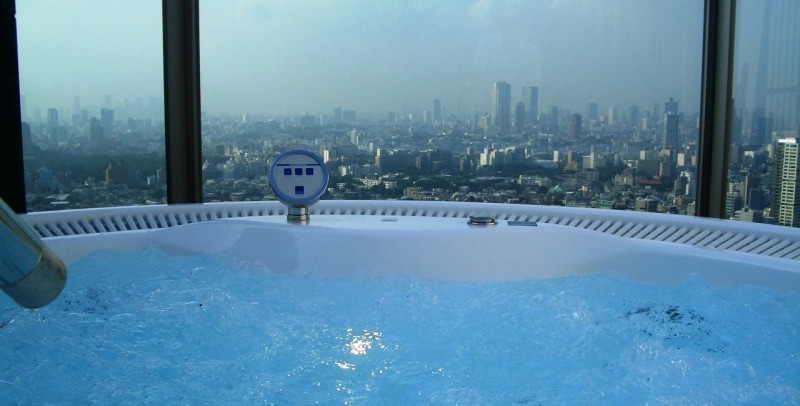 左側には、自然教育園の森越しに新宿の超高層ビル群が見える。