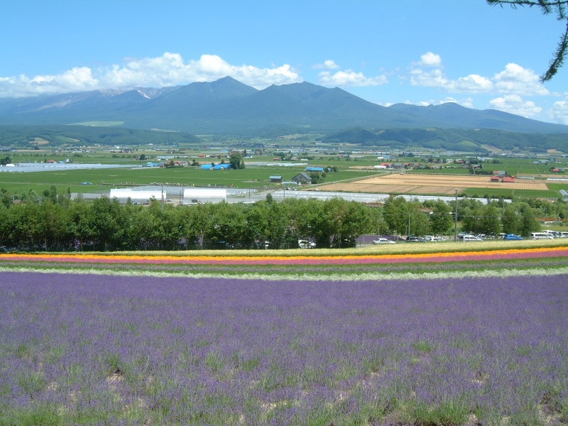 ファーム富田(4)