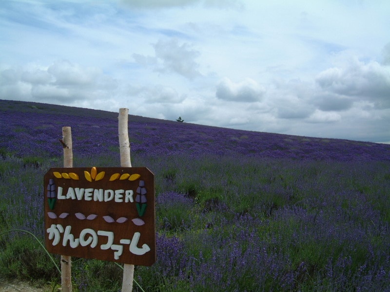 かんのファーム(1)
