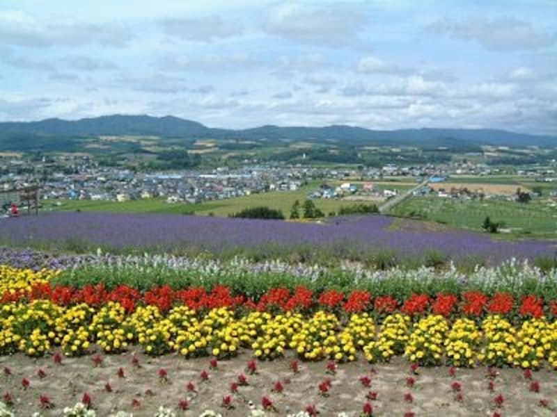 2 2 紫に染まる美瑛 富良野のラベンダーめぐり 北海道 名所 旧跡 All About 2 2 紫に染まる美瑛 富良野のラベンダーめぐり 北海道 名所 旧跡 All About