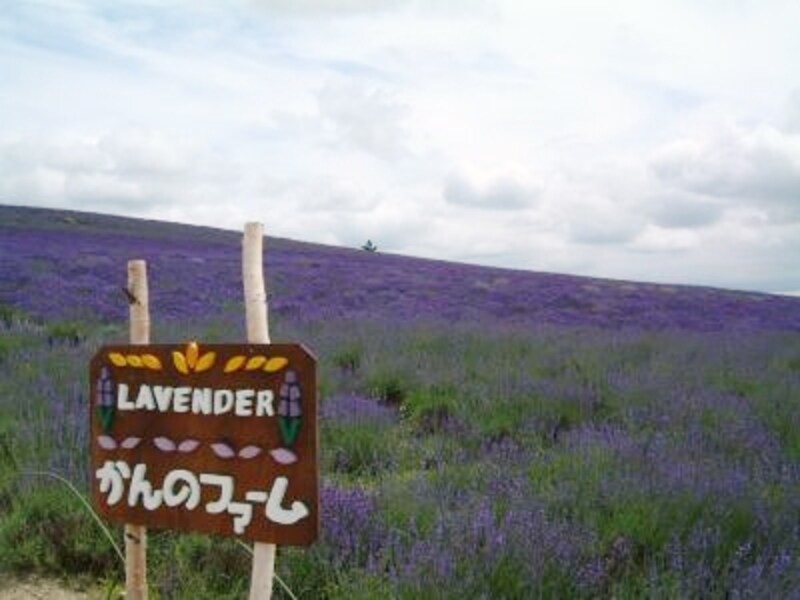 かんのファーム(1)
